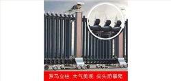2011款歐雷克斯D-638電動(dòng)伸縮門價(jià)格_尺寸